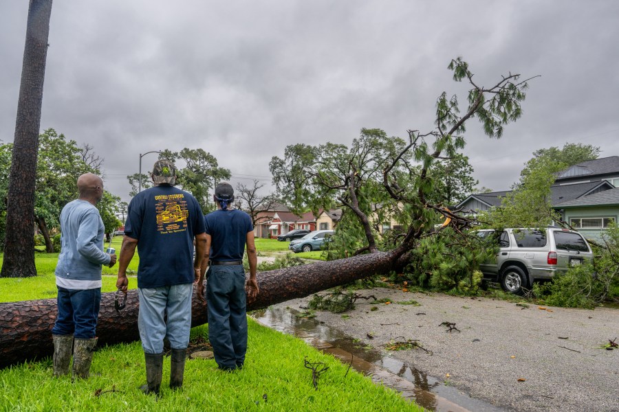 Residents assess a fallen tree in their in their neighborhood after Hurricane Beryl swept through the area on July 08, 2024 in Houston, Texas.