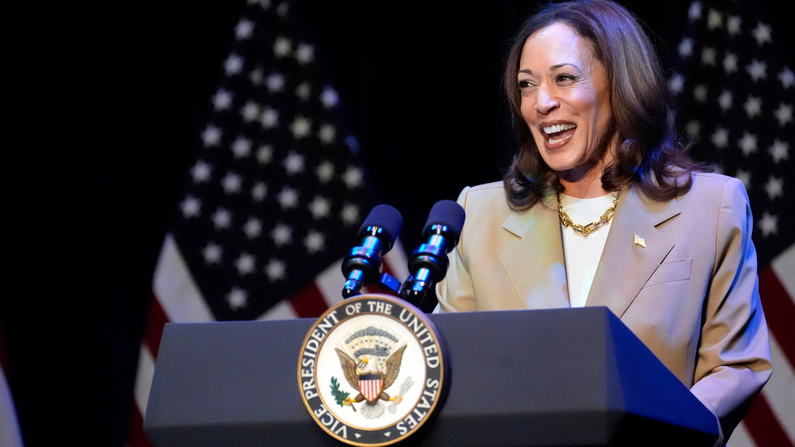 Kamala Harris speaking at a fundraising event.