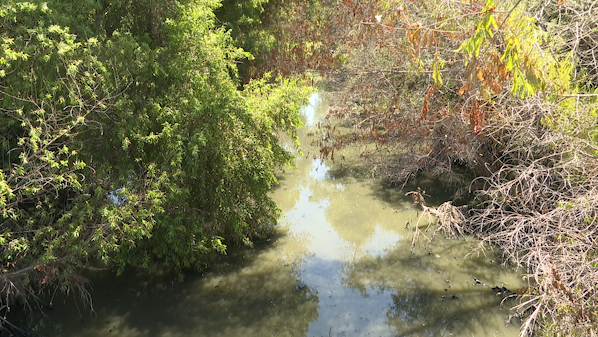 A picture of the Tijuana River.