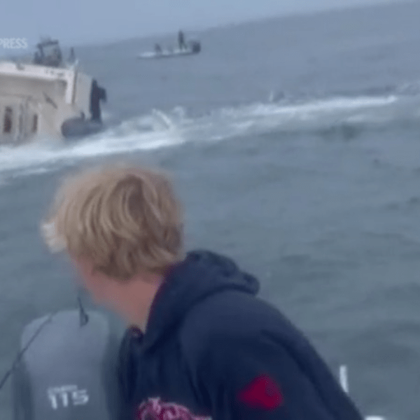A whale capsizes a boat off the New Hampshire shore