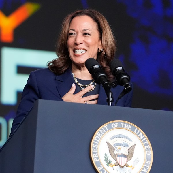 FILE - Vice President Kamala Harris delivers remarks at a Sigma Gamma Rho Sorority gathering in Houston, July 31, 2024, in Houston. (AP Photo/LM Otero, File)