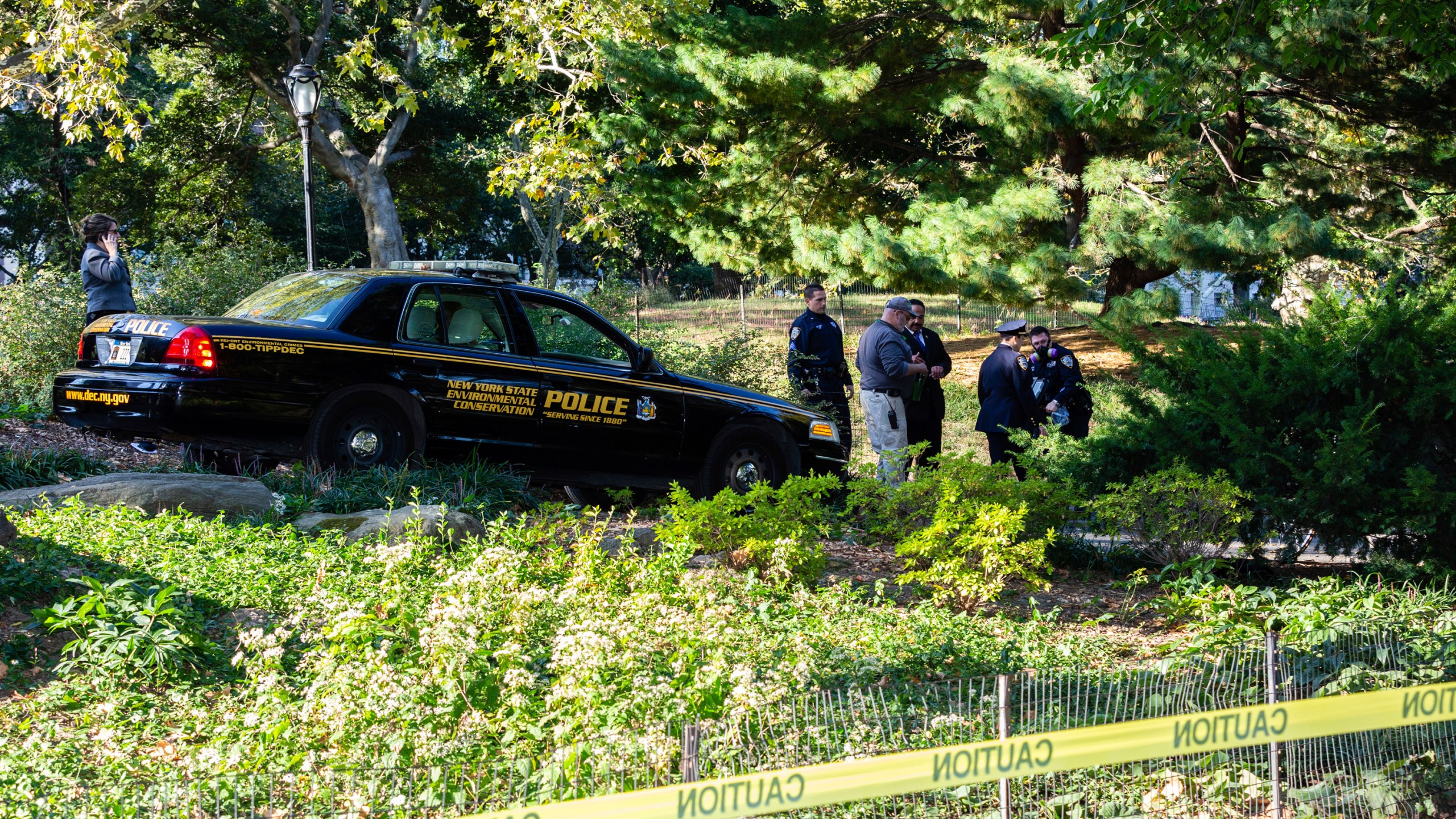 New York Police and New York State Environmental Conservation officers investigate the site where a bear cub was found dead under bushes in Central Park, Monday, Oct. 6, 2014, in New York. Independent presidential candidate Robert F. Kennedy Jr. once retrieved a bear that was killed by a motorist and left it in New York's Central Park with a bicycle on top, sparking a mystery that consumed the city a decade ago. Kennedy described the incident in a video on social media Sunday, Aug. 4, 2024, adding it will be included in a forthcoming New Yorker article that he expects to be damaging. (AP Photo/Stefan Jeremiah)