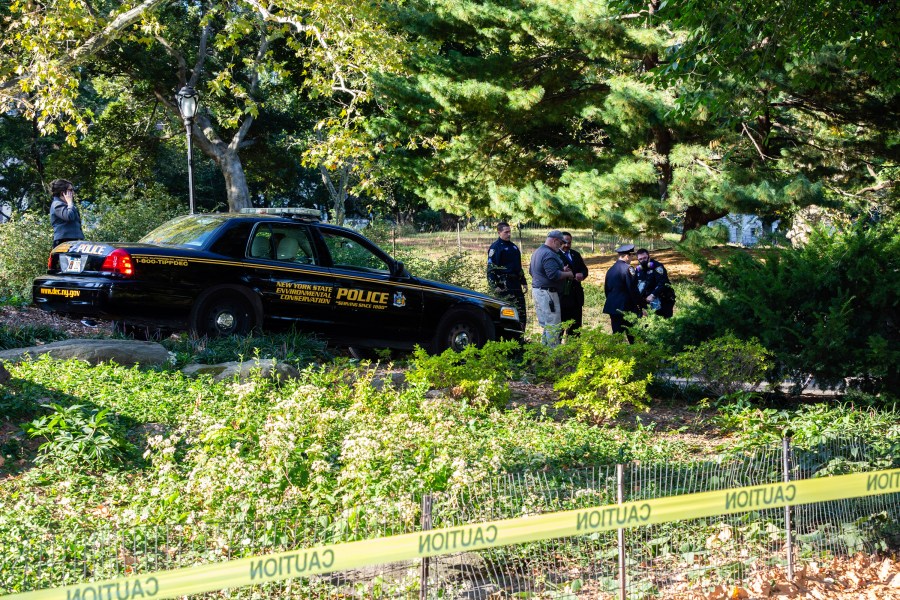 New York Police and New York State Environmental Conservation officers investigate the site where a bear cub was found dead under bushes in Central Park, Monday, Oct. 6, 2014, in New York. Independent presidential candidate Robert F. Kennedy Jr. once retrieved a bear that was killed by a motorist and left it in New York's Central Park with a bicycle on top, sparking a mystery that consumed the city a decade ago. Kennedy described the incident in a video on social media Sunday, Aug. 4, 2024, adding it will be included in a forthcoming New Yorker article that he expects to be damaging. (AP Photo/Stefan Jeremiah)