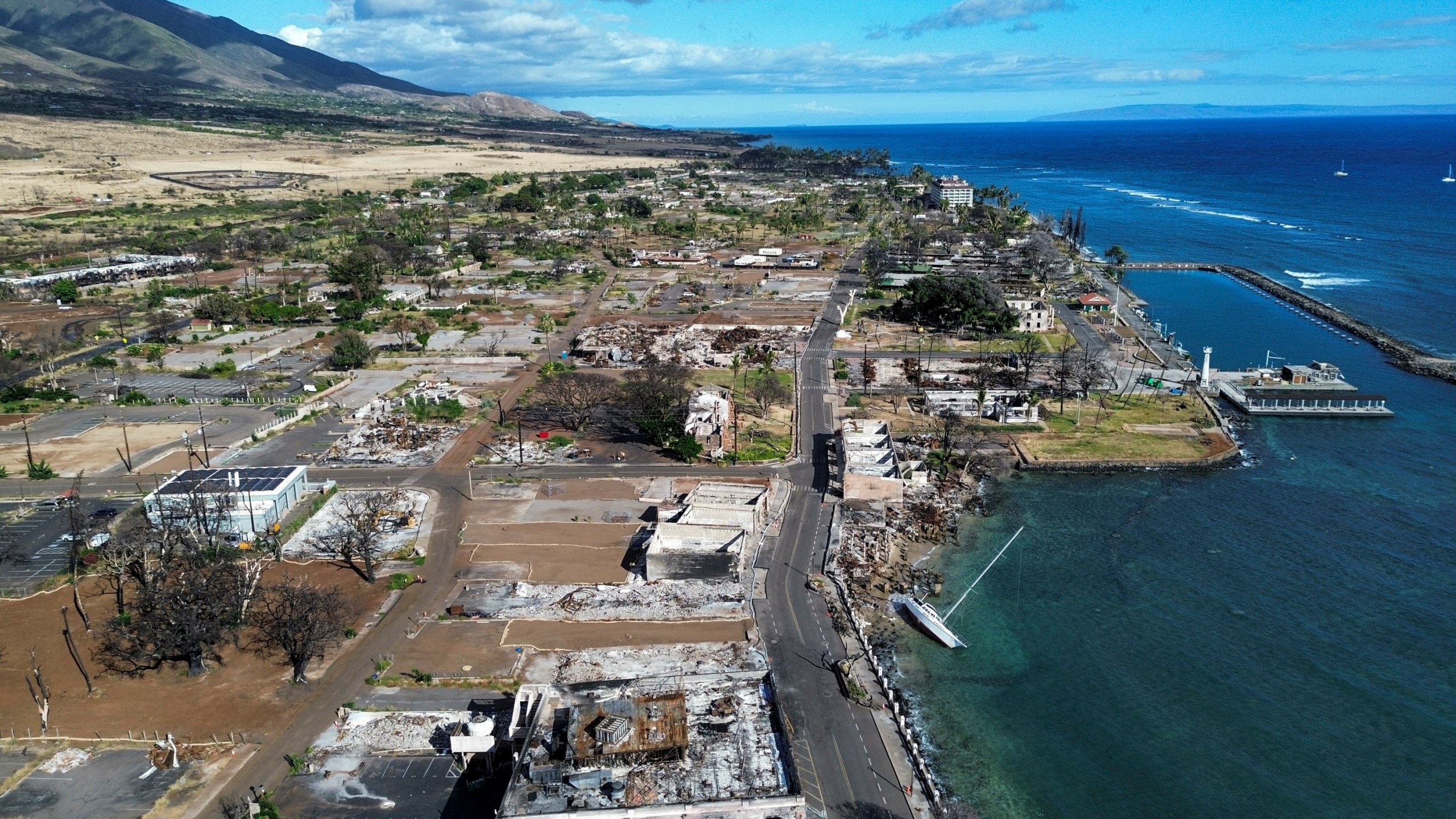 FILE - A general view of Front Street shows the primary debris from last year's wildfire being removed for commercial properties and the historic Lahaina banyan tree at right center on Wednesday, June 26, 2024, in Lahaina, Hawaii. (AP Photo/Mengshin Lin, File)