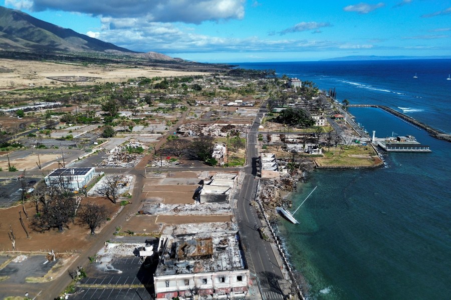 FILE - A general view of Front Street shows the primary debris from last year's wildfire being removed for commercial properties and the historic Lahaina banyan tree at right center on Wednesday, June 26, 2024, in Lahaina, Hawaii. (AP Photo/Mengshin Lin, File)