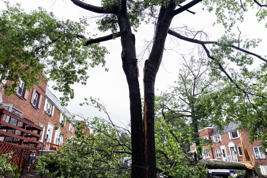 A tree is split in half on Adrian Street in Harrisburg, Pa., after extreme weather from Tropical storm Debby, Friday, Aug. 9, 2024. (Sean Simmers/The Patriot-News via AP)