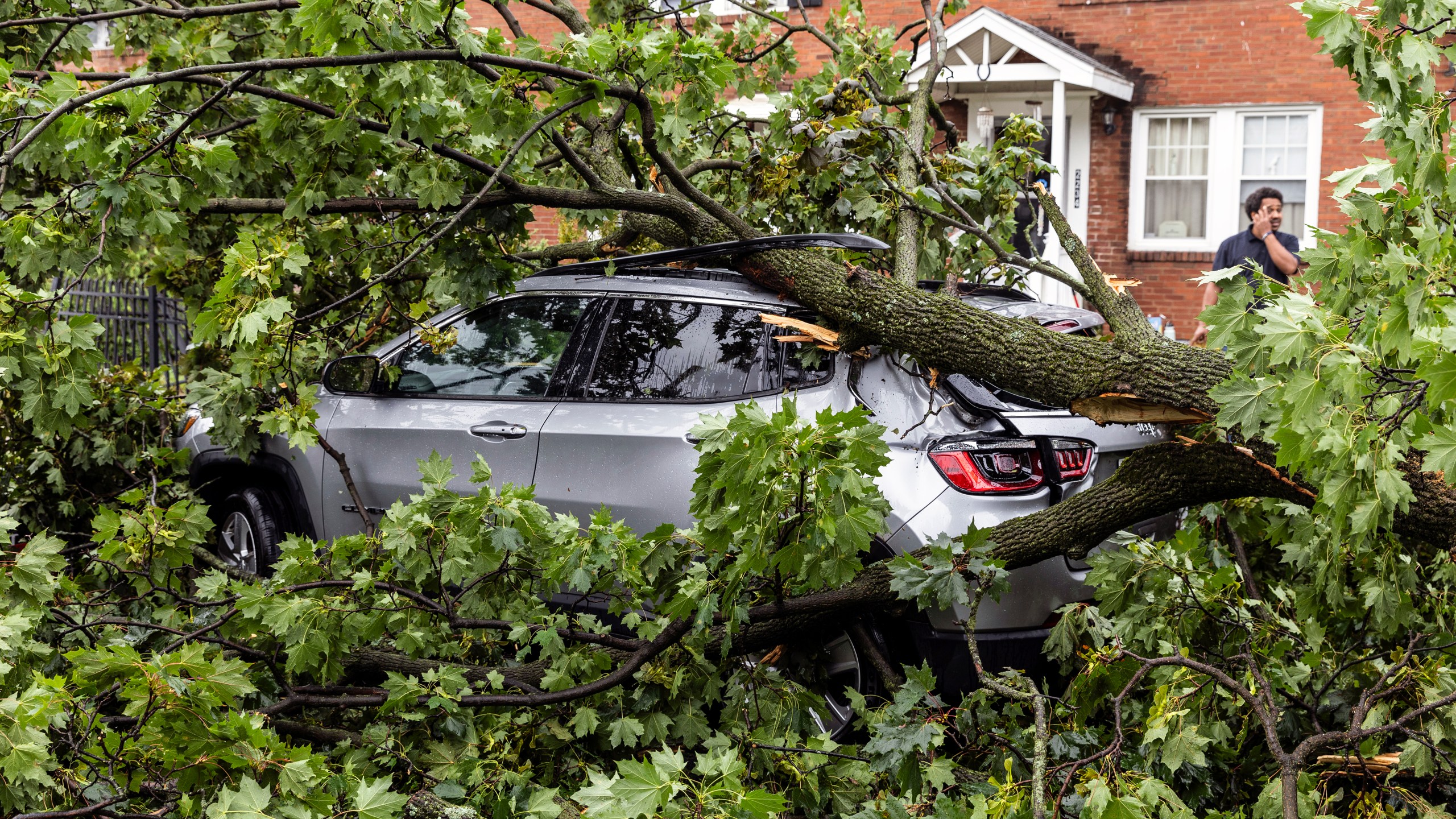 A vehicle is covered by a tree in Harrisburg, Pa., after extreme weather from Tropical storm Debby, Friday, Aug. 9, 2024. (Sean Simmers/The Patriot-News via AP)