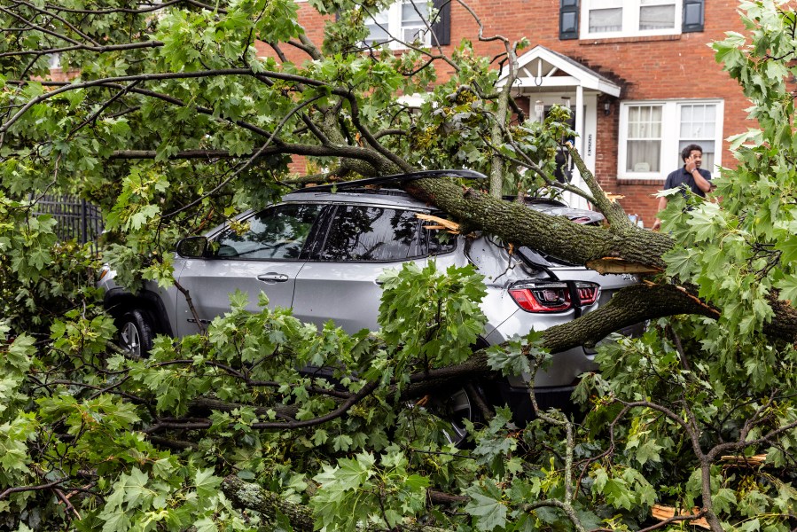 A vehicle is covered by a tree in Harrisburg, Pa., after extreme weather from Tropical storm Debby, Friday, Aug. 9, 2024. (Sean Simmers/The Patriot-News via AP)