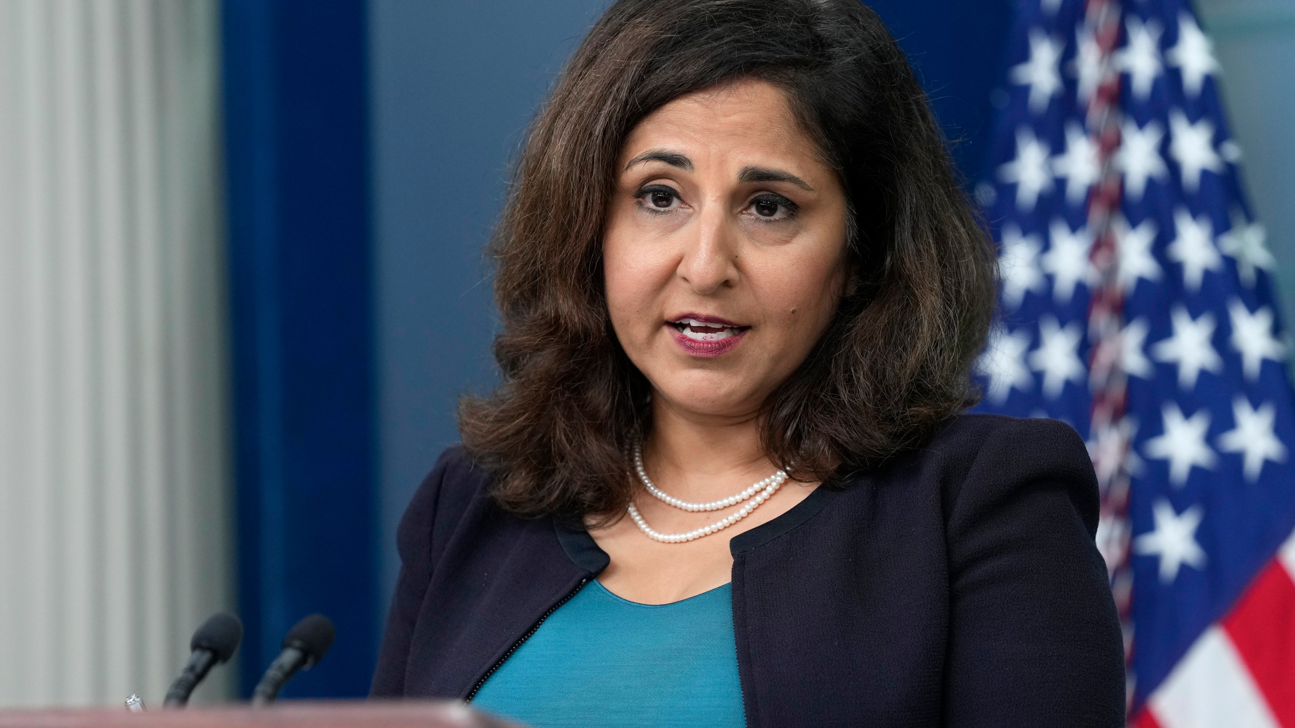 FILE - Domestic policy adviser Neera Tanden speaks during the daily briefing at the White House in Washington, Aug. 29, 2023. (AP Photo/Susan Walsh, File)