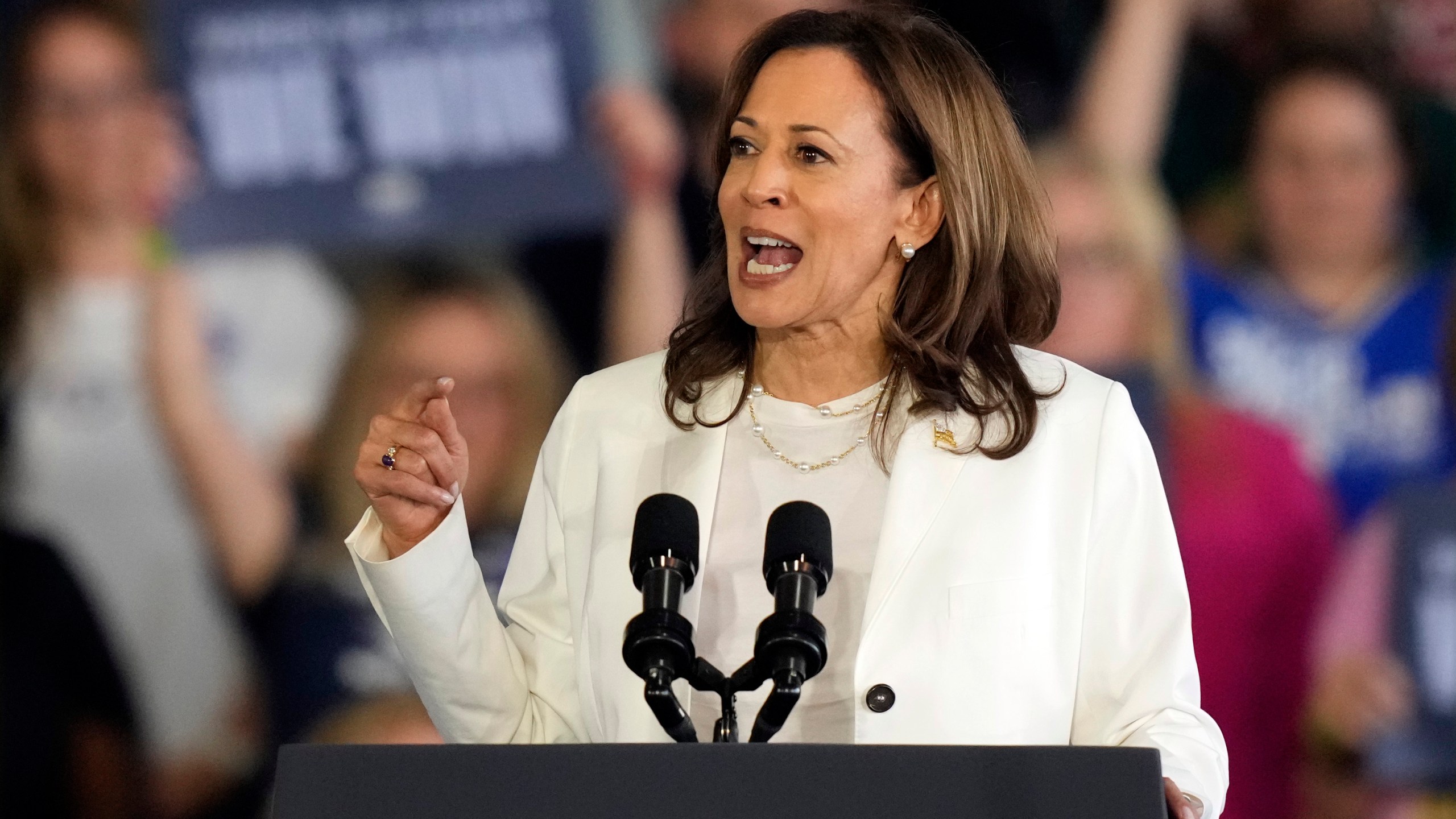 FILE - Democratic presidential nominee Vice President Kamala Harris speaks at a campaign rally, Aug. 7, 2024, in Romulus, Mich. (AP Photo/Carlos Osorio, File)