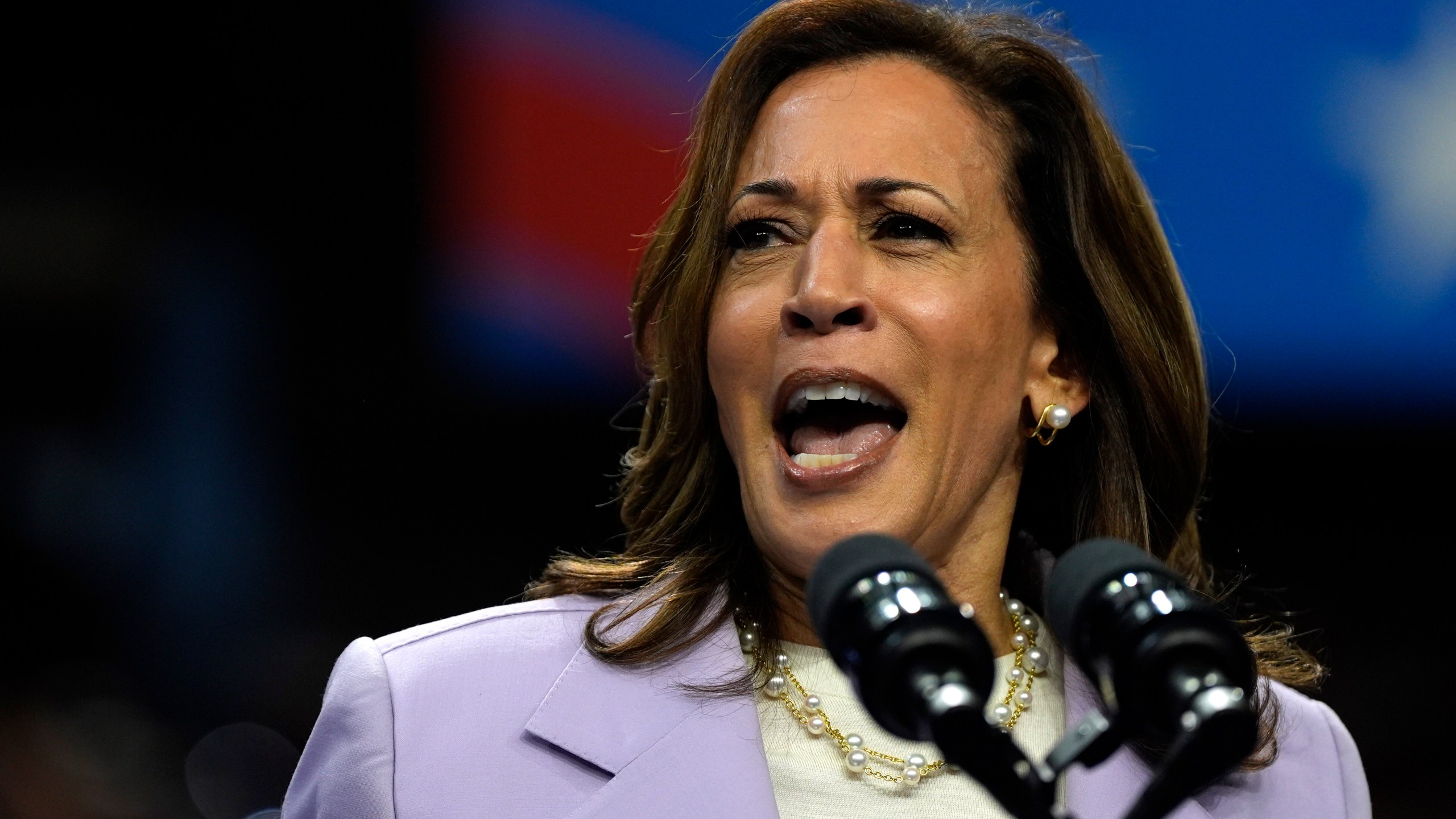 FILE - Democratic presidential nominee Vice President Kamala Harris speaks at a campaign rally, Aug. 10, 2024, in Las Vegas. (AP Photo/Julia Nikhinson, File)