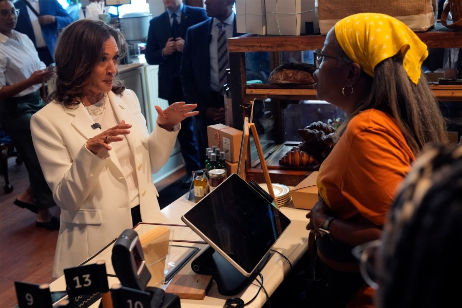 Democratic presidential nominee Vice President Kamala Harris talks during a stop at Dottie's Market in Savannah, Ga., Thursday, Aug. 29, 2024. (AP Photo/Jacquelyn Martin)