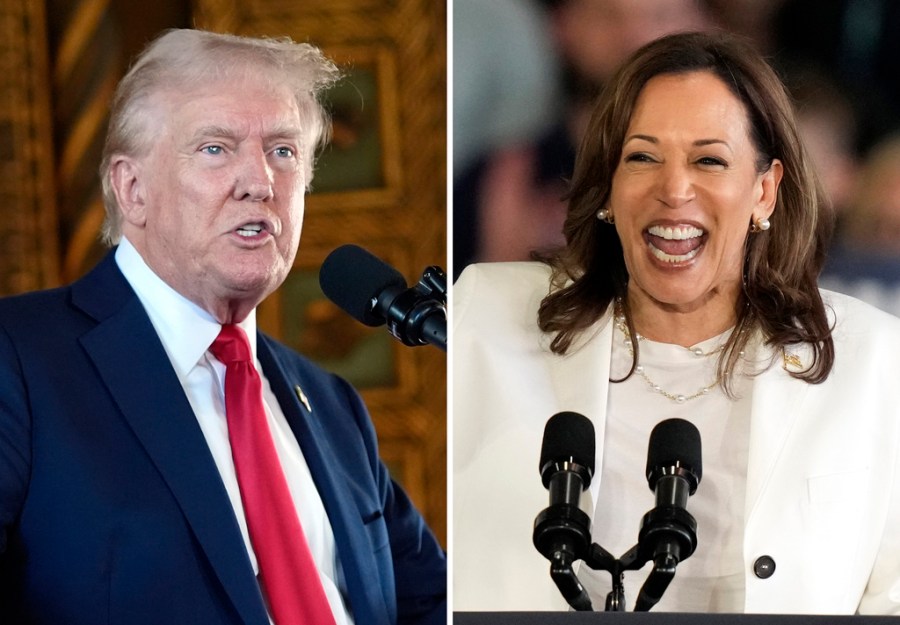 Donald Trump and Kamala Harris are pictured in a composite image.