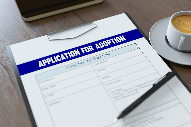 Application for Adoption Form. 3D Render