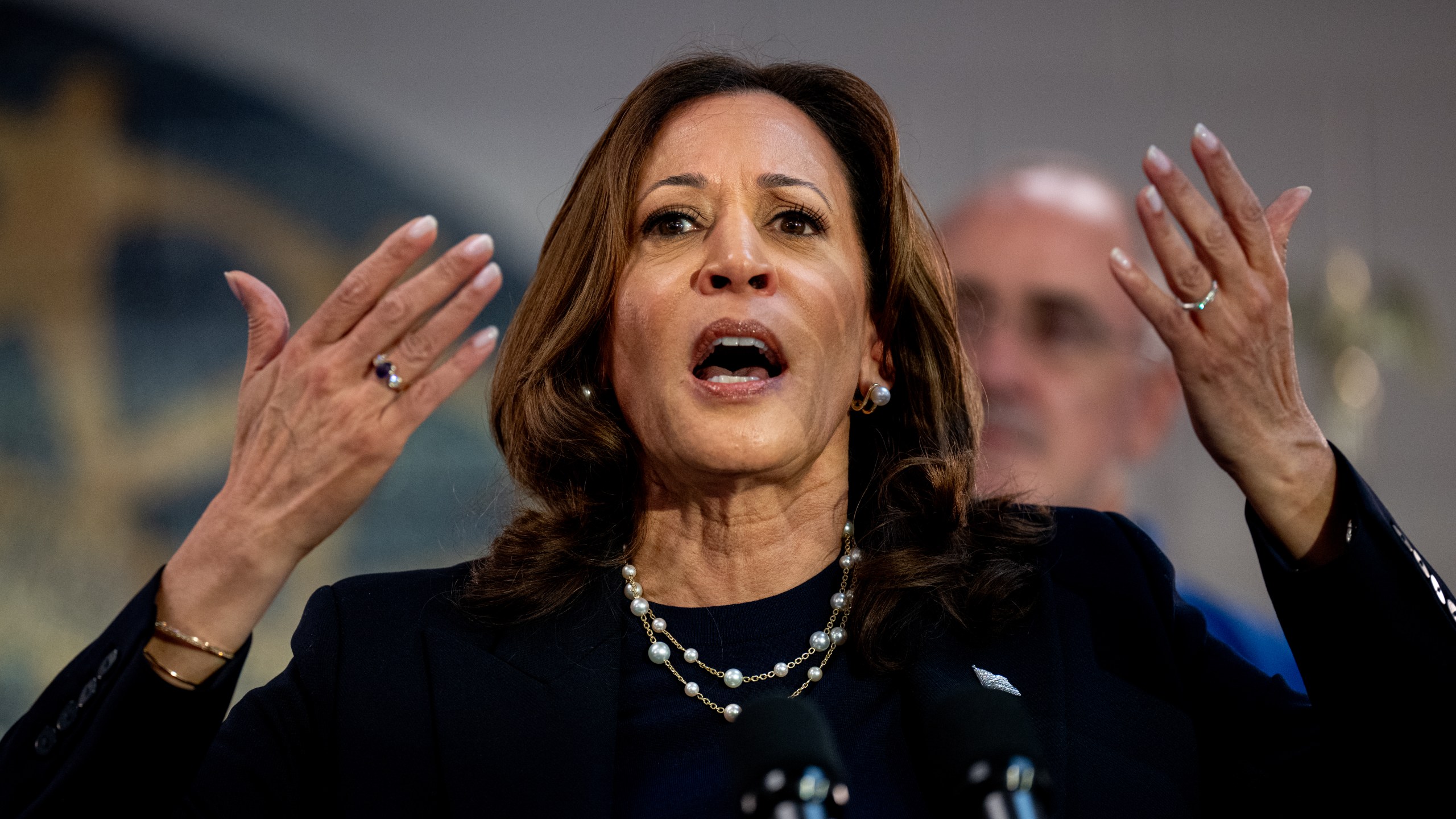 Kamala Harris speaking at a rally in Michigan.