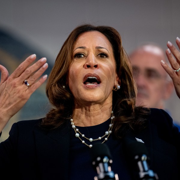 Kamala Harris speaking at a rally in Michigan.