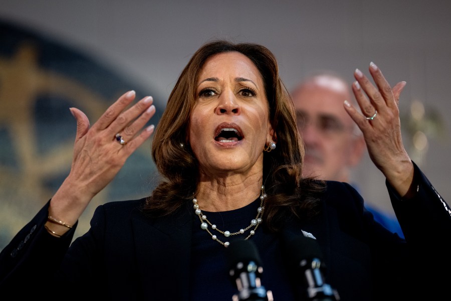 Kamala Harris speaking at a rally in Michigan.