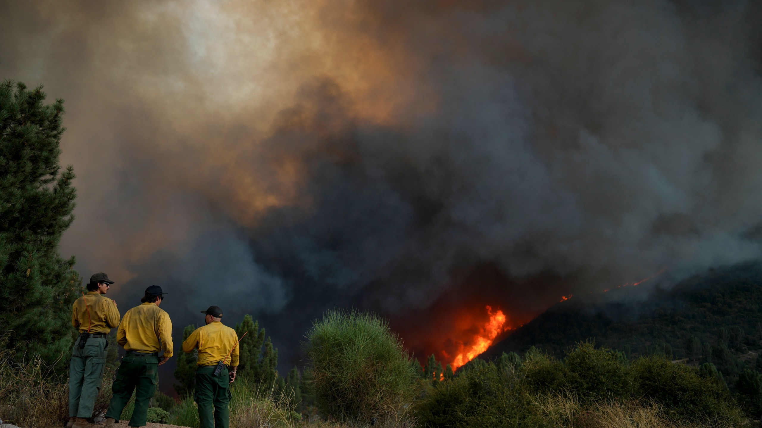 Fire crews monitor the Line Fire, Saturday, Sept. 7, 2024, in Running Springs, Calif. (AP Photo/Eric Thayer)