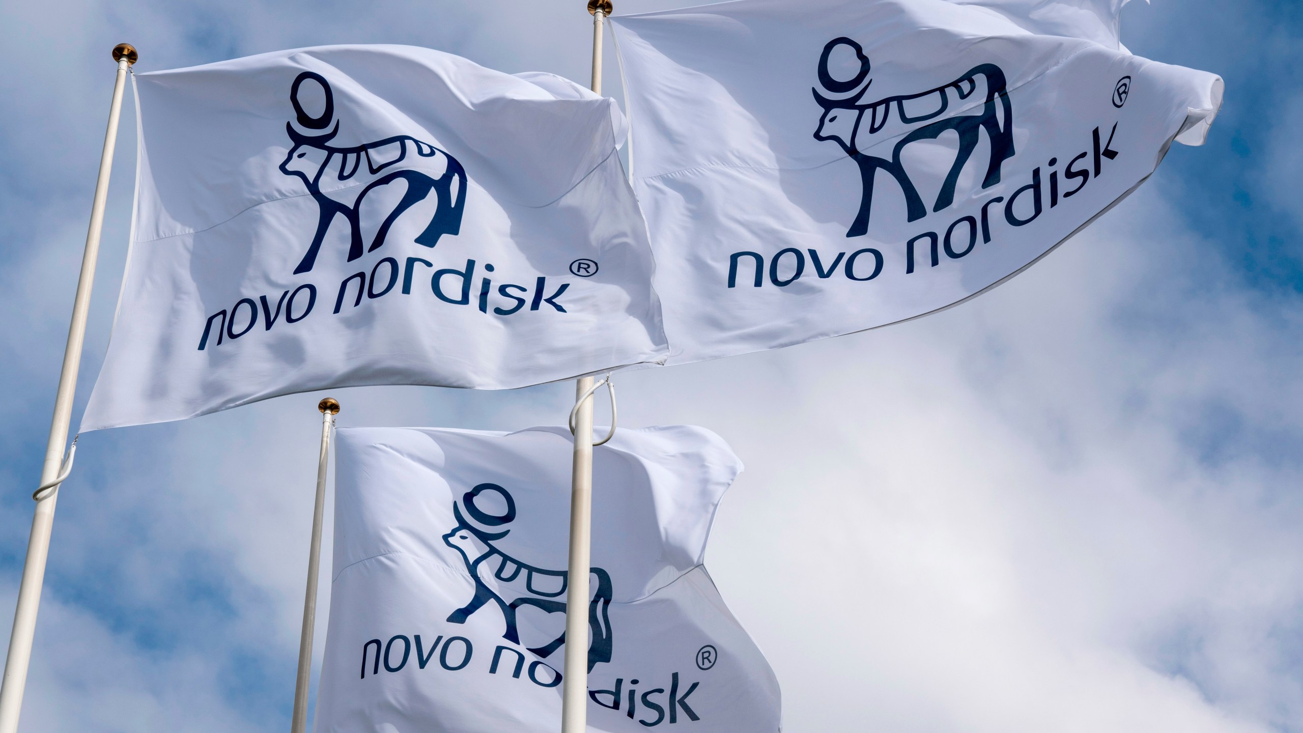 This undated photo provided by Novo Nordisk shows flags bearing the company's logo. (Novo Nordisk via AP)