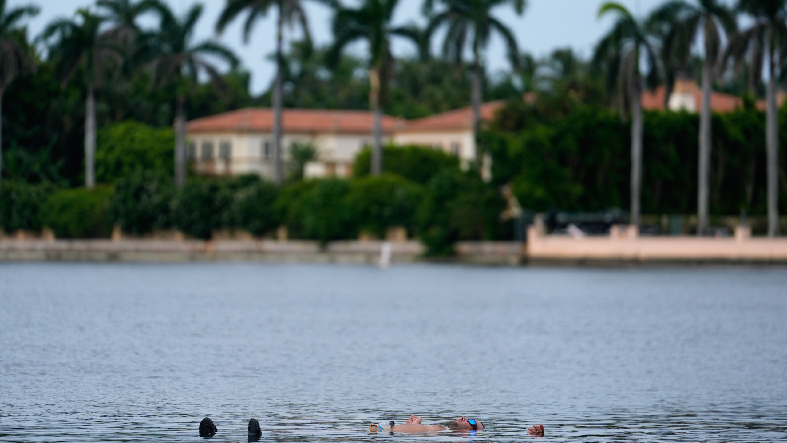 Trump supporter Jestin Nevarez, of Lake Worth, Fla., cools off with a swim in the Lake Worth Lagoon in front of the Mar-a-Lago estate of Republican presidential nominee and former President Donald Trump, one day after an apparent assassination attempt, in Palm Beach, Fla., Monday, Sept. 16, 2024. (AP Photo/Rebecca Blackwell)