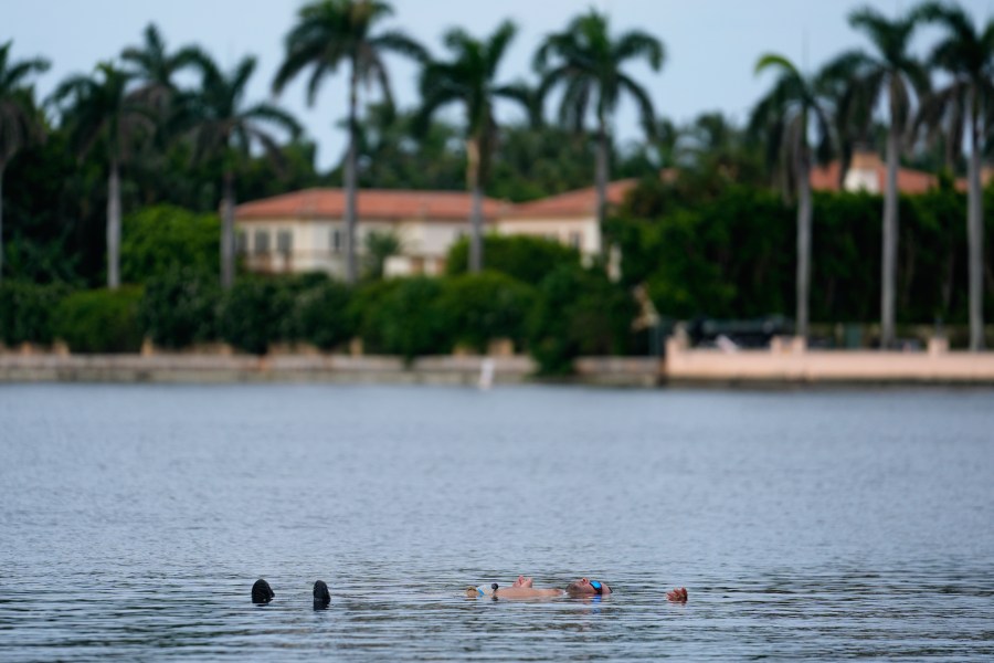 Trump supporter Jestin Nevarez, of Lake Worth, Fla., cools off with a swim in the Lake Worth Lagoon in front of the Mar-a-Lago estate of Republican presidential nominee and former President Donald Trump, one day after an apparent assassination attempt, in Palm Beach, Fla., Monday, Sept. 16, 2024. (AP Photo/Rebecca Blackwell)