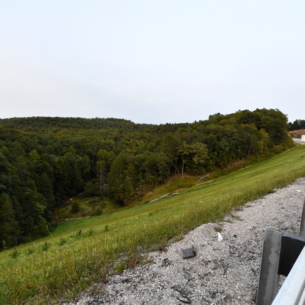 FILE - Trees stand in wooded areas alongside Interstate 75 near Livingston, Ky., Sunday, Sept. 8, 2024, as police search for a suspect in a shooting Saturday along the Interstate. (AP Photo/Timothy D. Easley, File)