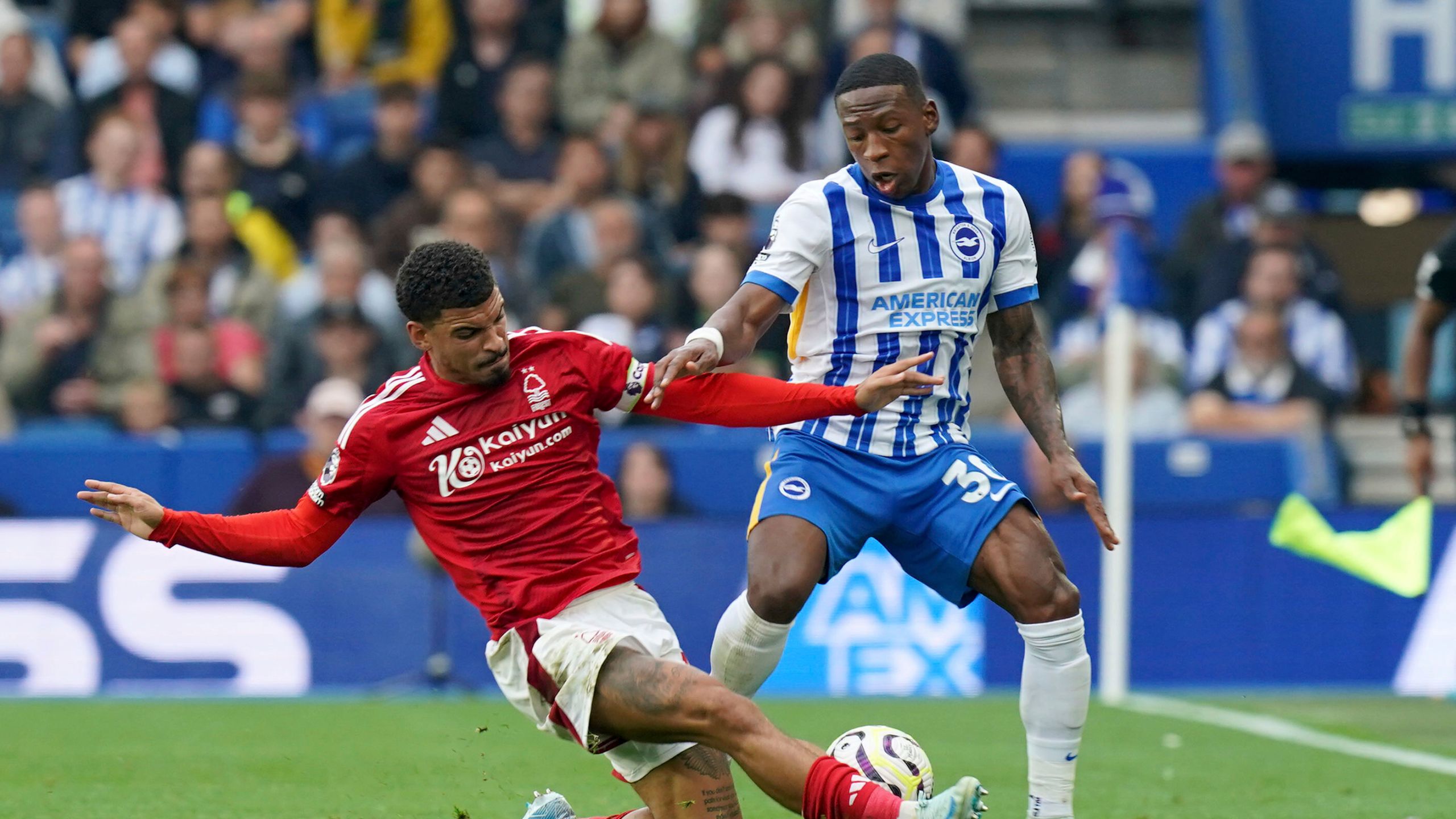 Nottingham Forest's Morgan Gibbs-White, left and Brighton and Hove Albion's Pervis Estupinan vie for the ball, during the English Premier League soccer match between Brighton and Nottingham Forest, at the American Express Stadium, in Brighton and Hove, England, Sunday, Sept. 22, 2024. (Gareth Fuller/PA via AP)