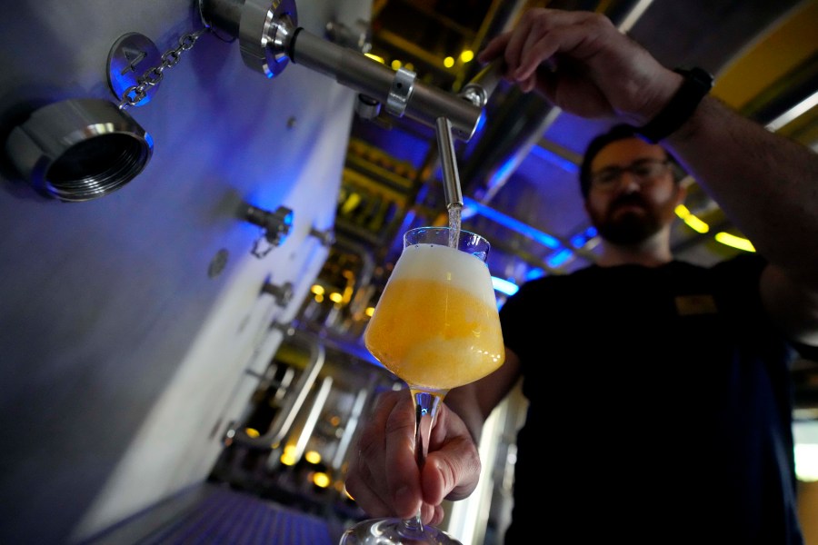 Head Brewmaster Tobias Zollo fills beer at the Weihenstephan brewery in Freising, Germany, Friday, Sept. 20, 2024. (AP Photo/Matthias Schrader)