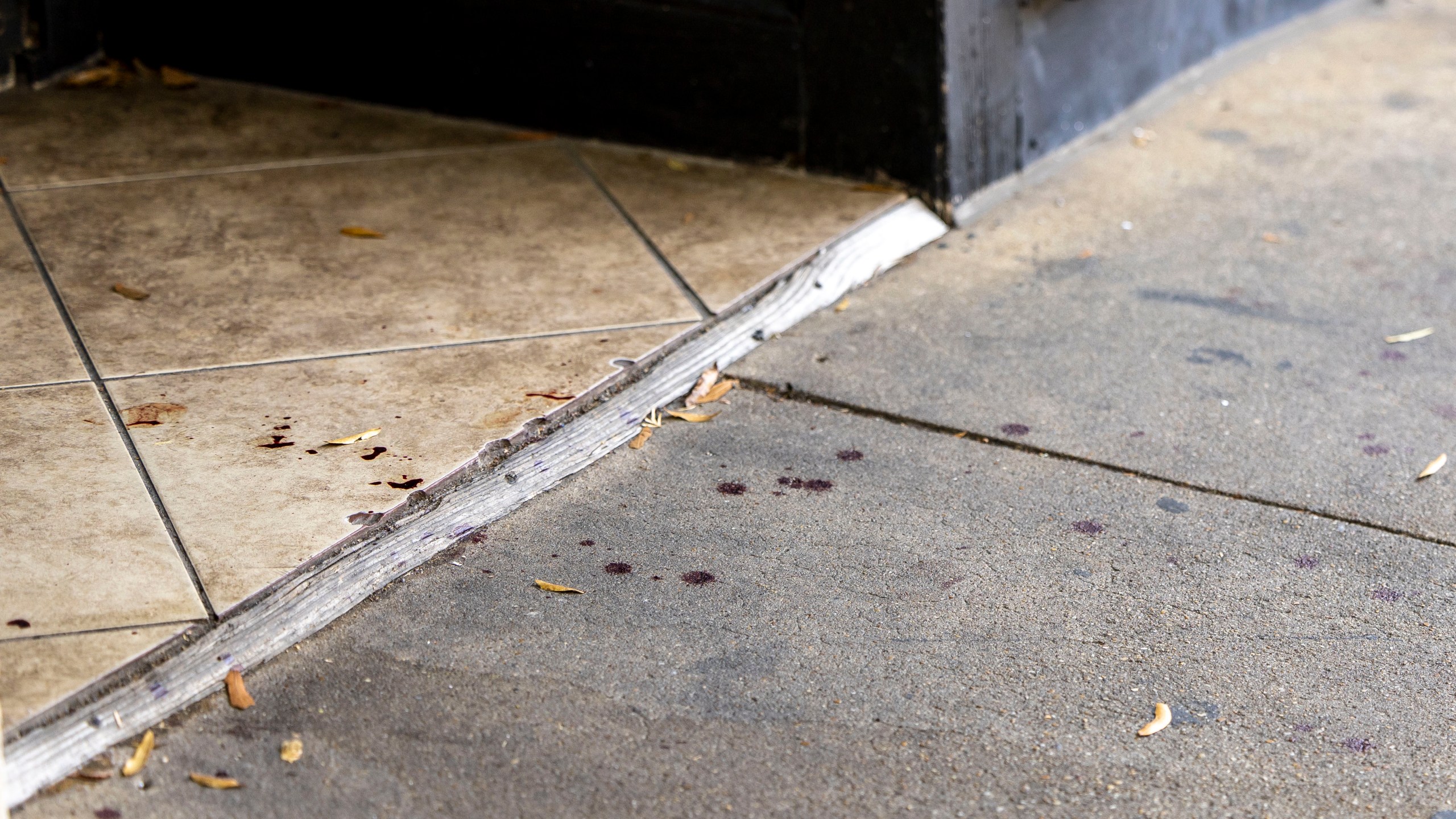 Drops of blood remain at the scene of a fatal Saturday night shooting in the Five Points neighborhood of Birmingham, Ala., Sunday, Sept. 22, 2024. (AP Photo/Vasha Hunt)