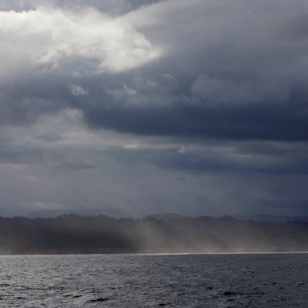 The city of Newport is seen from the Pacific Ocean near the wave energy test site in Newport, Ore., Friday, Aug. 23, 2024. The coastal waters of Oregon are shaping up to be key for advances in two forms of renewable energy: wave power and wind turbines that float. (AP Photo/Craig Mitchelldyer)