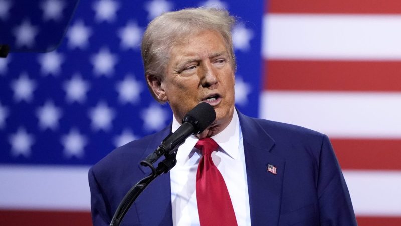 Republican presidential nominee former President Trump speaks during a campaign event.