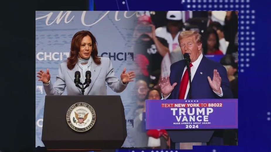 Trump, Harris campaigns target young male voters