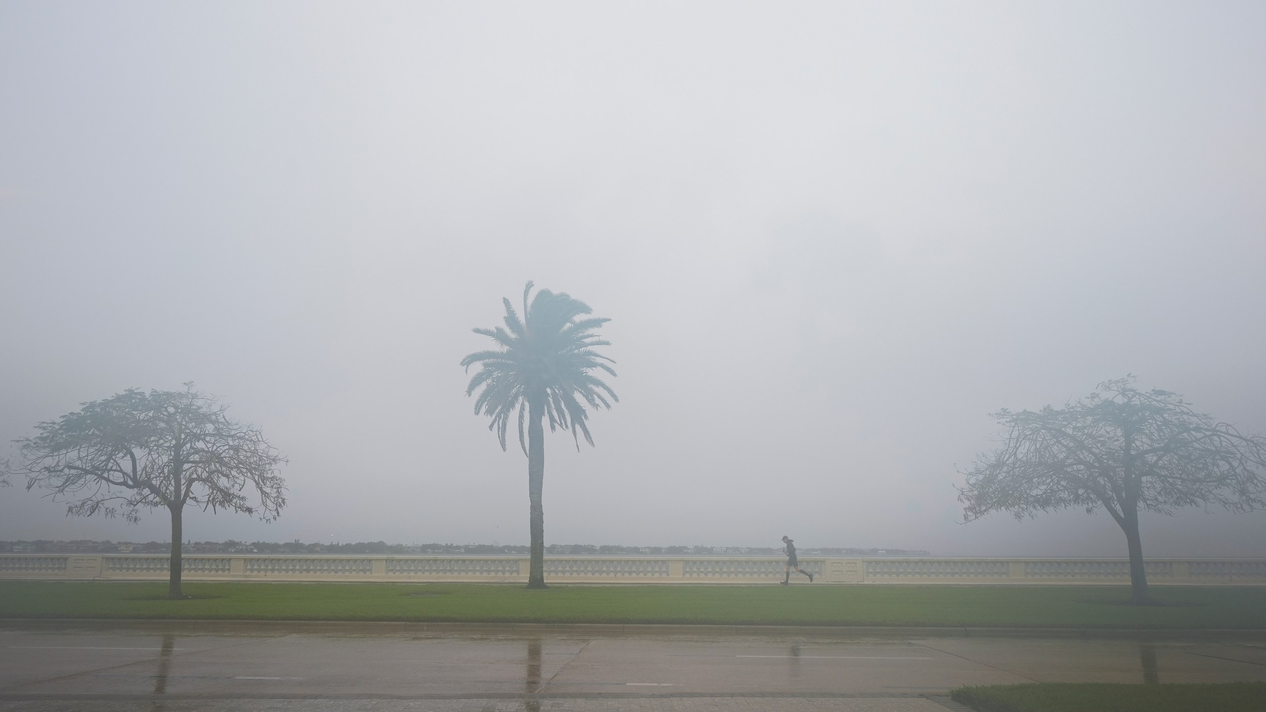 A jogger trots as rain falls ahead of the arrival of Hurricane Milton, Wednesday, Oct. 9, 2024, in Tampa, Fla. (AP Photo/Julio Cortez)