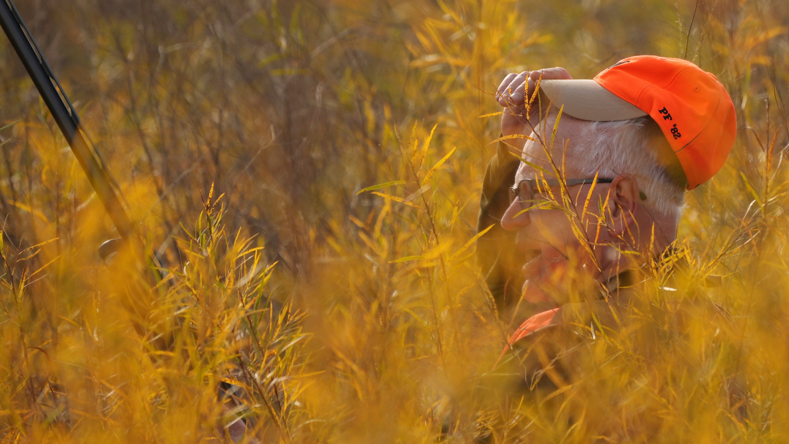 Tim Walz, Minnesota governor and Democratic vice presidential candidate, pushes through thick vegetation as he takes part in the annual Minnesota Governor's Pheasant Hunting Opener near Sleepy Eye, Minn., Saturday, Oct. 12, 2024. (Anthony Souffle/Star Tribune via AP)