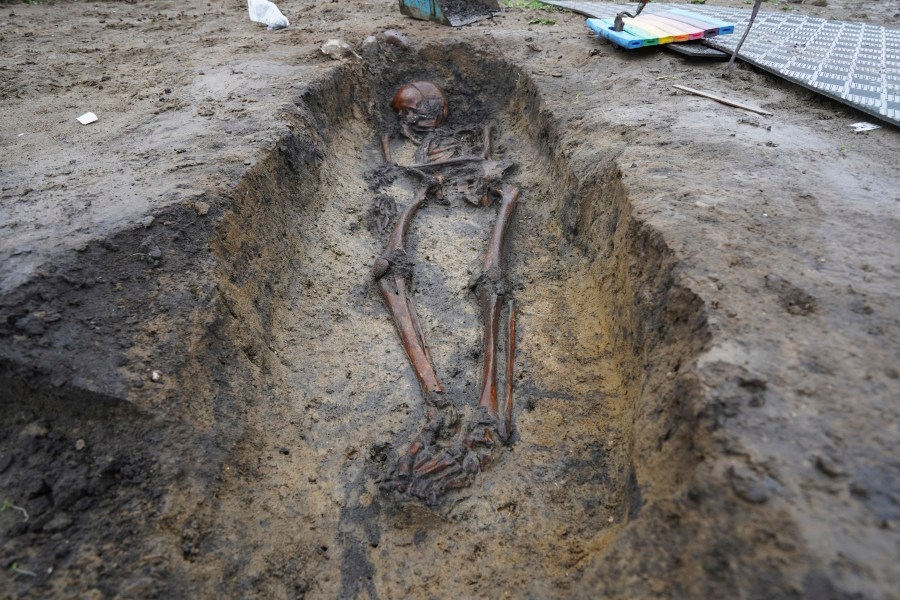 Skeletons and skulls sit in graves at an excavation site of a 10th century Viking burial ground in Aasum, Denmark, Monday, Oct. 7, 2024. (AP Photo/James Brooks)