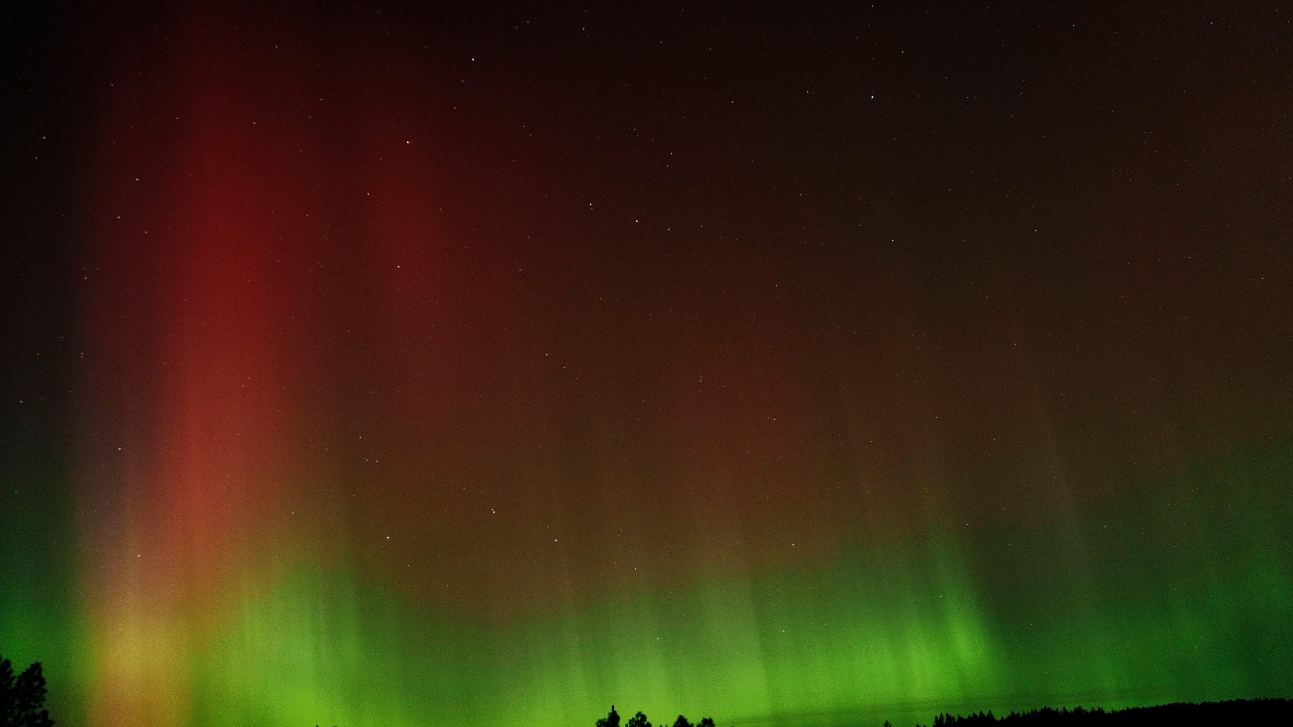 An aurora borealis, also known as the northern lights, is seen in the night sky along with the Big Dipper constellation on Thursday, Oct. 10, 2024, in Moscow, Idaho. (AP Photo/Ted S. Warren)