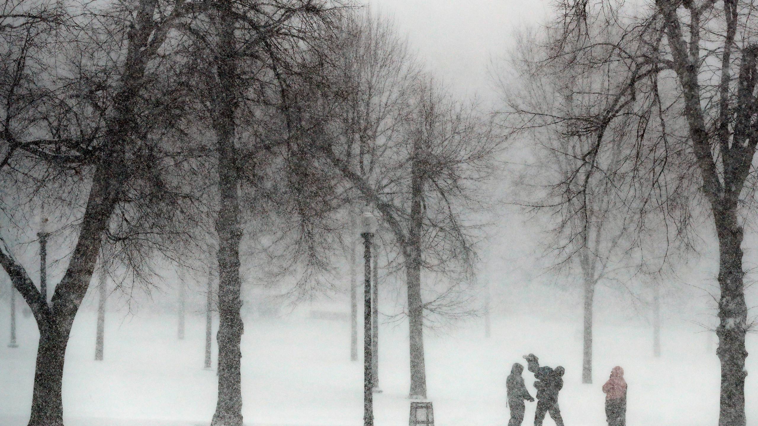 FILE - Snow falls on Boston Common, Saturday, Jan. 29, 2022, in Boston. (AP Photo/Michael Dwyer, File)