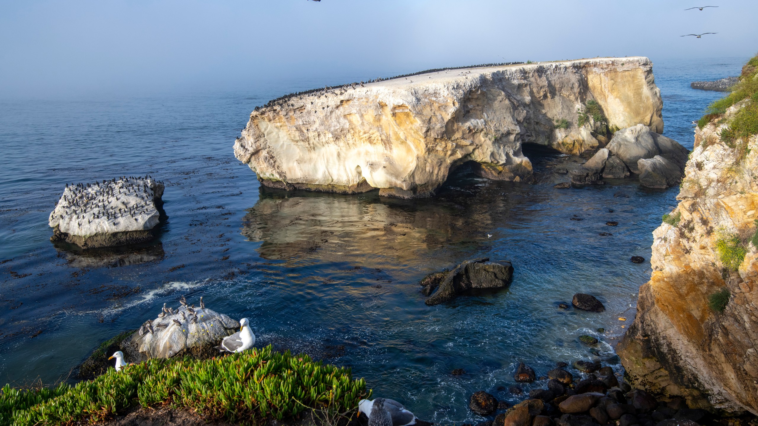 Chumash Heritage National Marine Sanctuary, Seabird Rock near Dinosaur Caves Park, Pismo Beach, Calif. on Monday, October. 14, 2024. (Robert Schwemmer via AP)