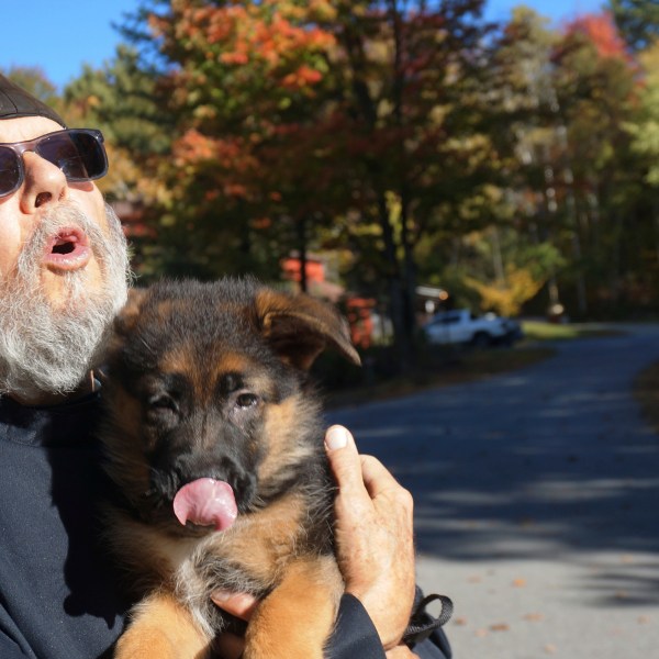 Brother Luke, an Orthodox Christian monk, holds his 10-week-old German shepherd Pyrena on the grounds of the New Skete monastery, where he directs the dog breeding program that has provided both financial and spiritual support to the community for decades outside Cambridge, N.Y., on Oct. 12, 2024. (AP Photo/Giovanna Dell’Orto)