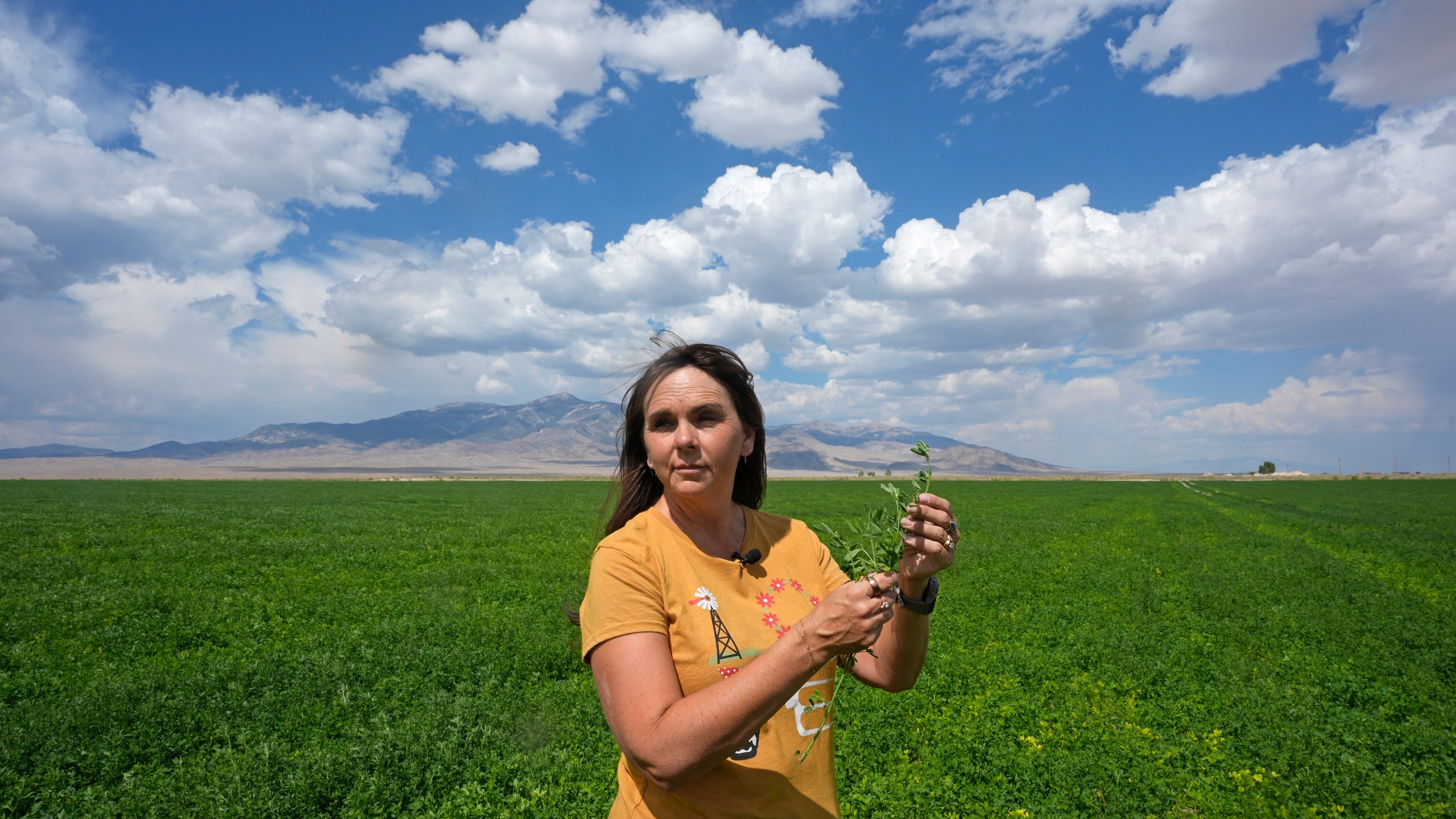 Janille Baker, Baker ranch's controller, stands in a field on the Baker Ranch Monday, Sept. 9, 2024, in Baker, Nevada. (AP Photo/Rick Bowmer)