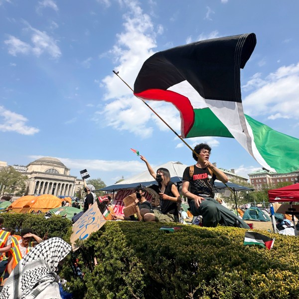 FILE - A demonstrator waves a flag on the Columbia University campus at a pro-Palestinian protest encampment, in New York, April 29, 2024. (AP Photo/Ted Shaffrey, File)