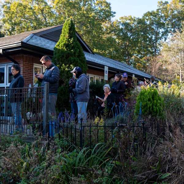 People wait in line at the polling place at Skyland/South Buncombe Library in Asheville, N.C. during the first day of early in-person voting, on Oct. 17, 2024. (AP Photo/Stephanie Scarbrough)