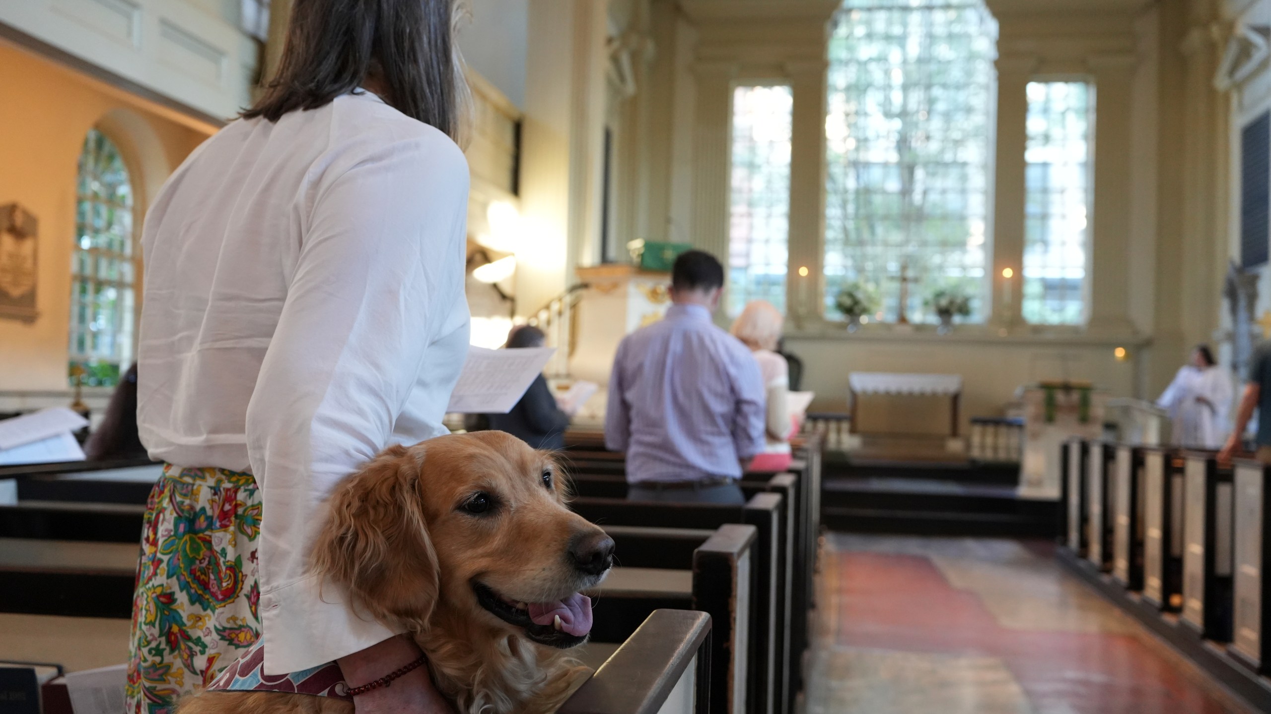 Madeline Tess Farmer and her golden retriever dog, Wrigley, join a Blessing of the Animals ceremony in honor of St. Francis at Philadelphia’s Christ Church on Sunday, Oct. 6, 2024. (AP Photo/Luis Andres Henao)