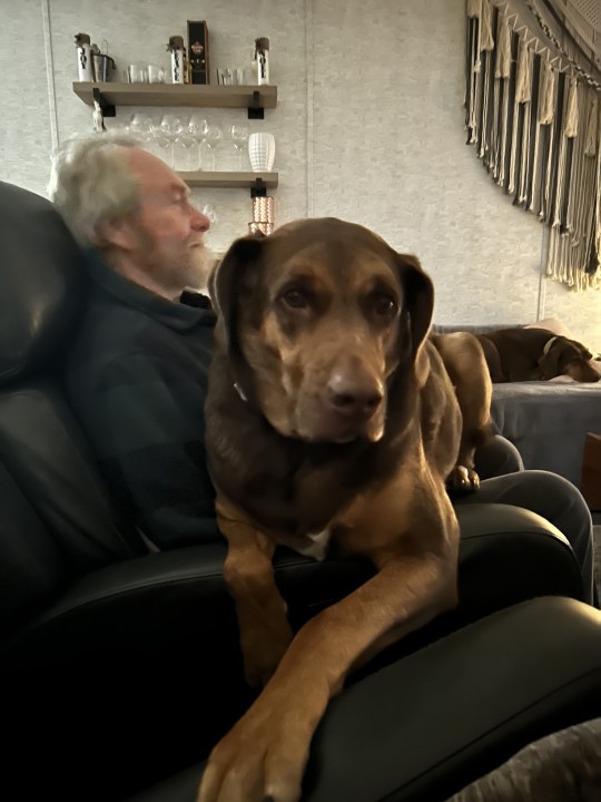 An older man with a dog on his lap.