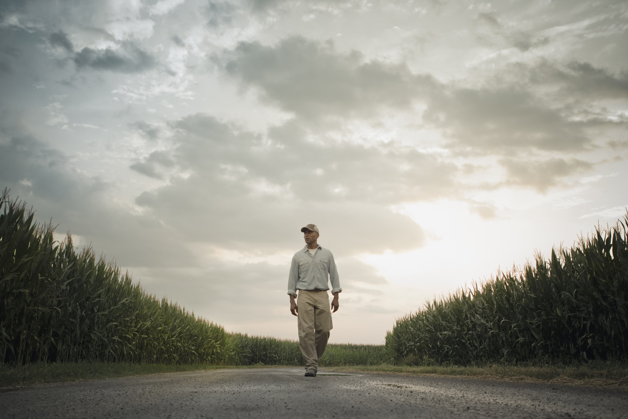 Farmer walking on road through crops