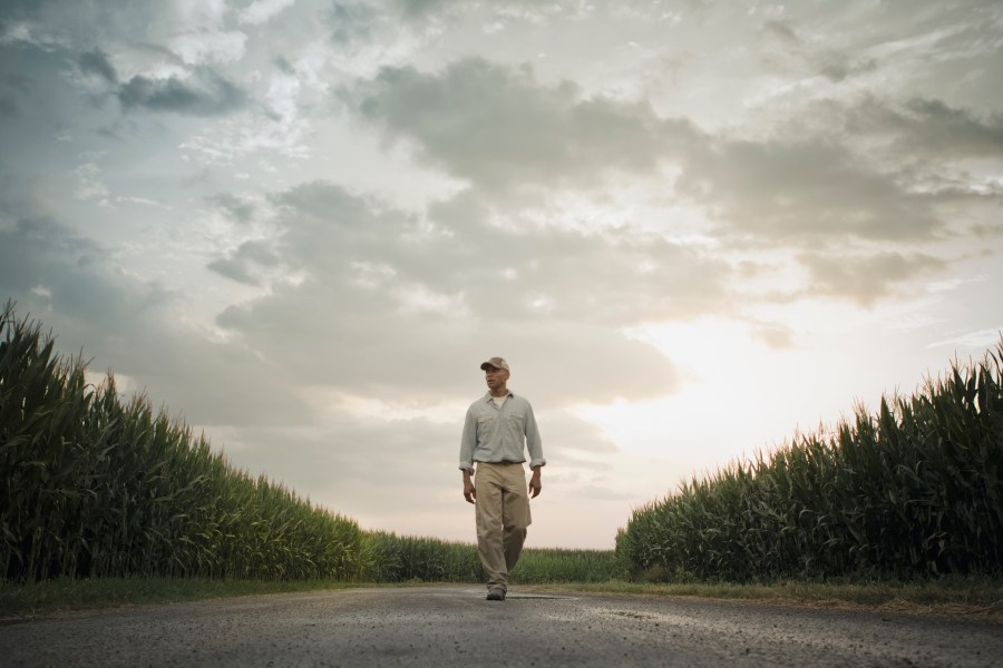 Farmer walking on road through crops