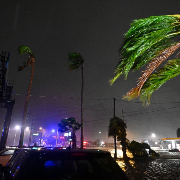 Palm trees bend in the wind after Hurricane Milton made landfall in Brandon, Florida on October 9, 2024