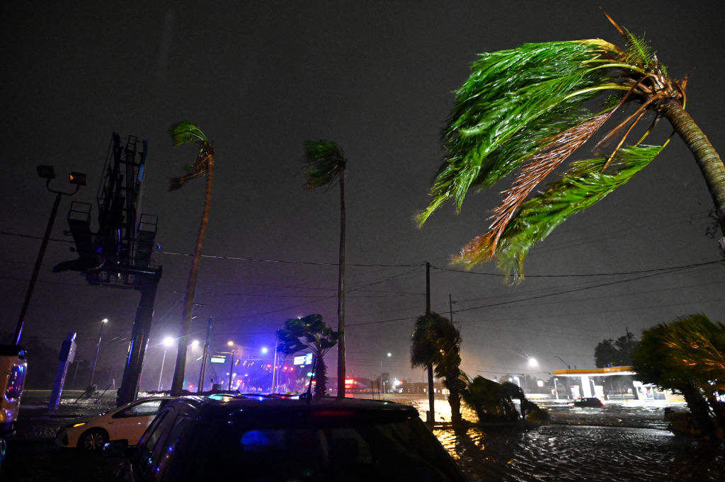 Palm trees bend in the wind after Hurricane Milton made landfall in Brandon, Florida on October 9, 2024