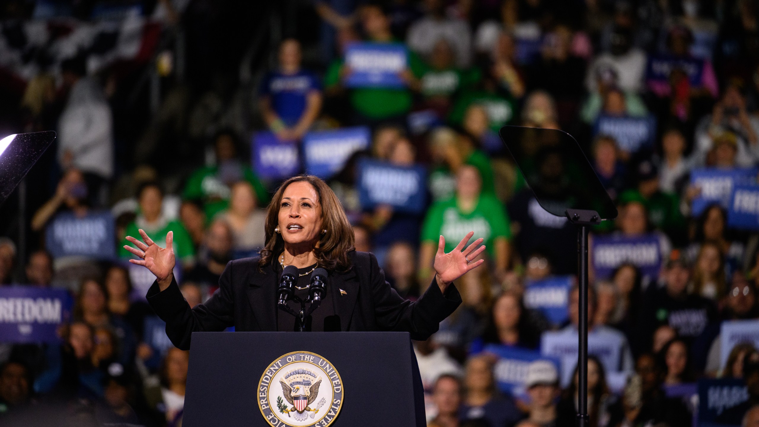 Democratic presidential nominee Vice President Kamala Harris speaks to a large crowd during a campaign rally at Erie Insurance Arena, in Erie, Pa., on Monday, October 14, 2024.