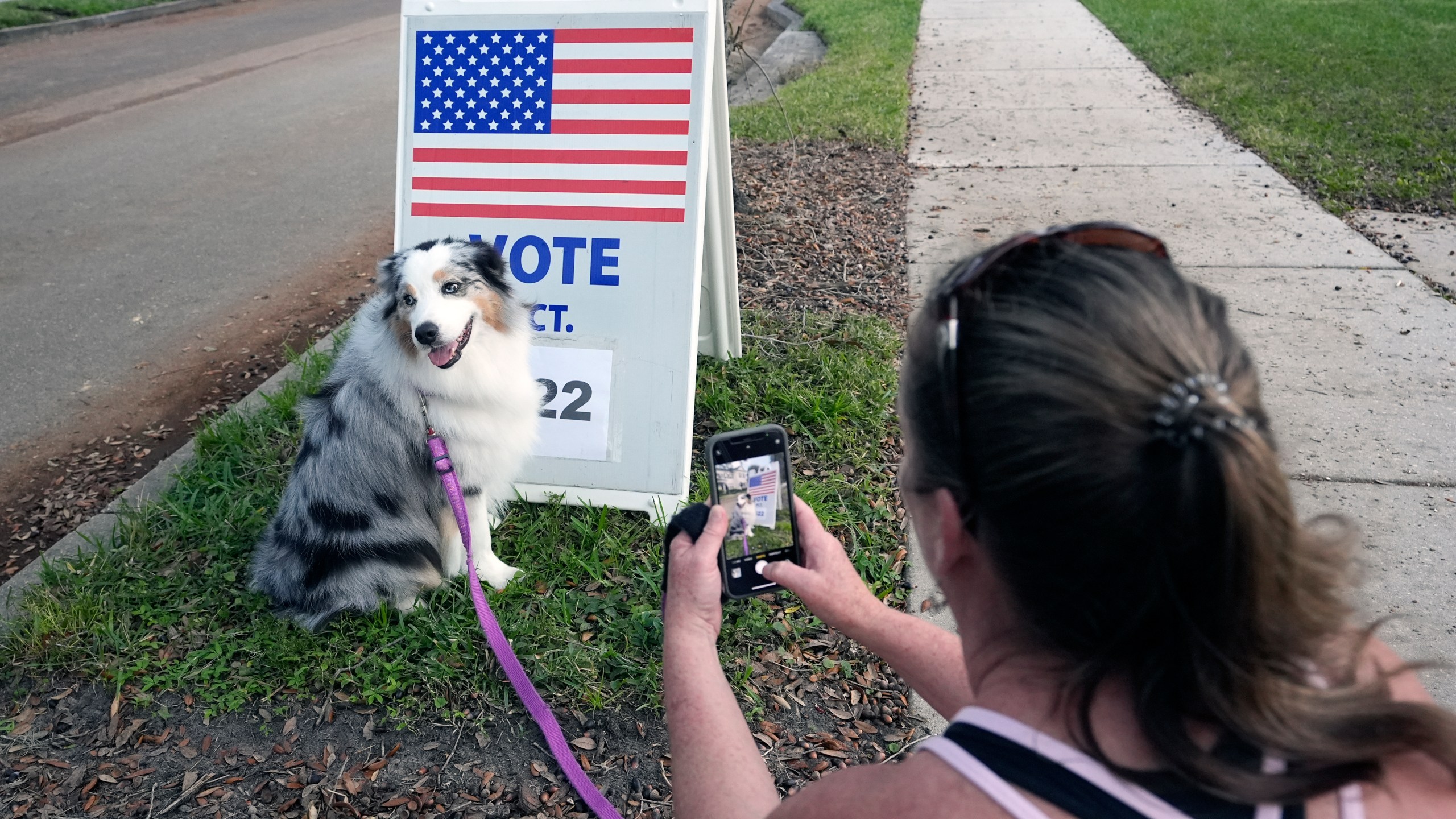 Susan Finan makes photos of her dog Daisey, while waiting for her daughter to cast her ballot at Glenridge Middle School, Tuesday, Nov. 5, 2024, in Orlando, Fla. (AP Photo/John Raoux)